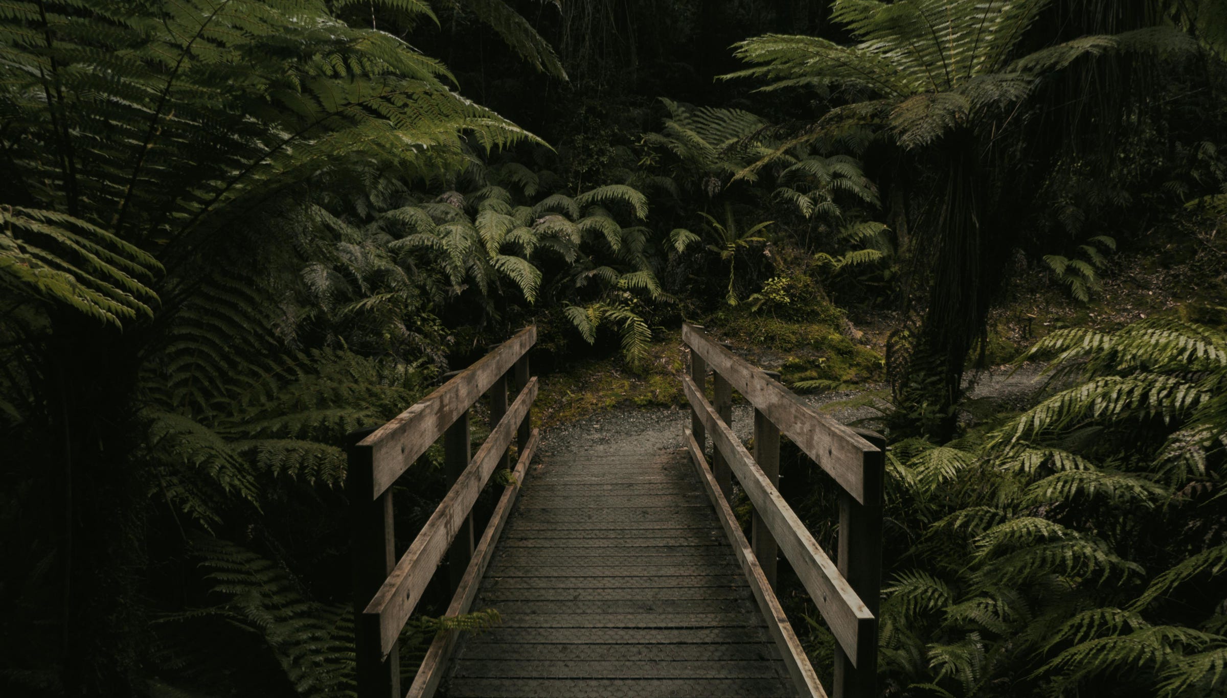 bridge and greenery